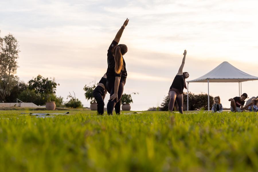 5317525603898255  92A7208 (Copy)