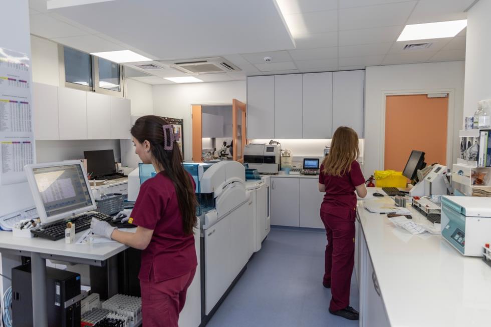 5327136747433893 14 - LABORATORY