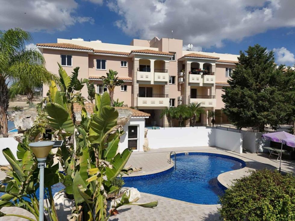 5329530351392569 cg11240