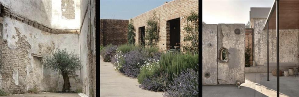 5344168460688354 image