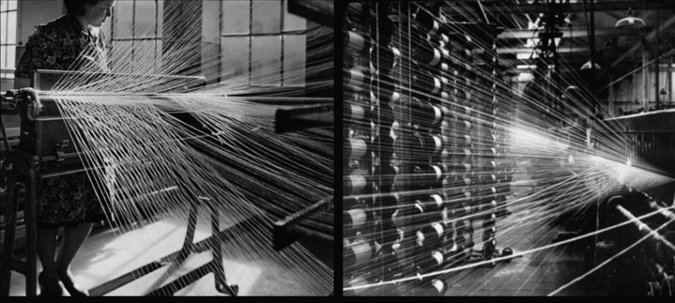 5344168630005439 image