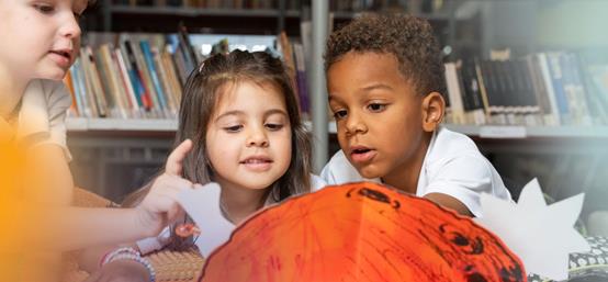 5345904849550875 image