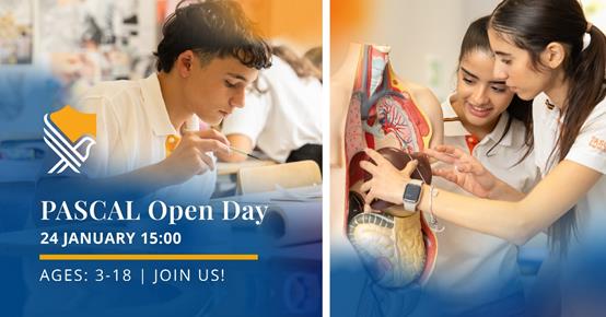 5352044901193026 image