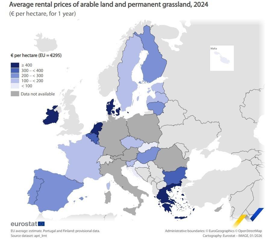5388549491457721 image