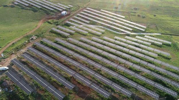 5389972462140294 Picture3