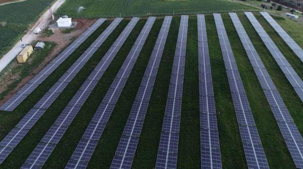 5389972697673162 Picture5