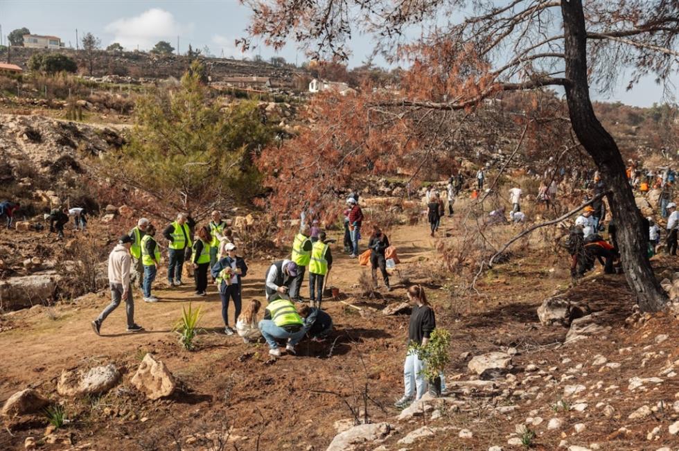 5396280275812082 image