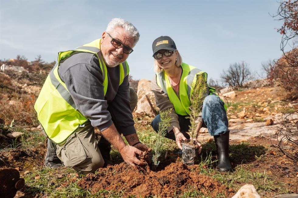 5396280744531727 image