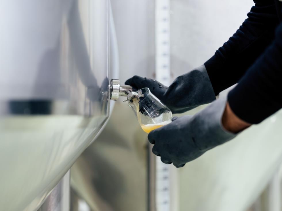 5404791100288855 MF SmallandMediumBusinesses SR 008