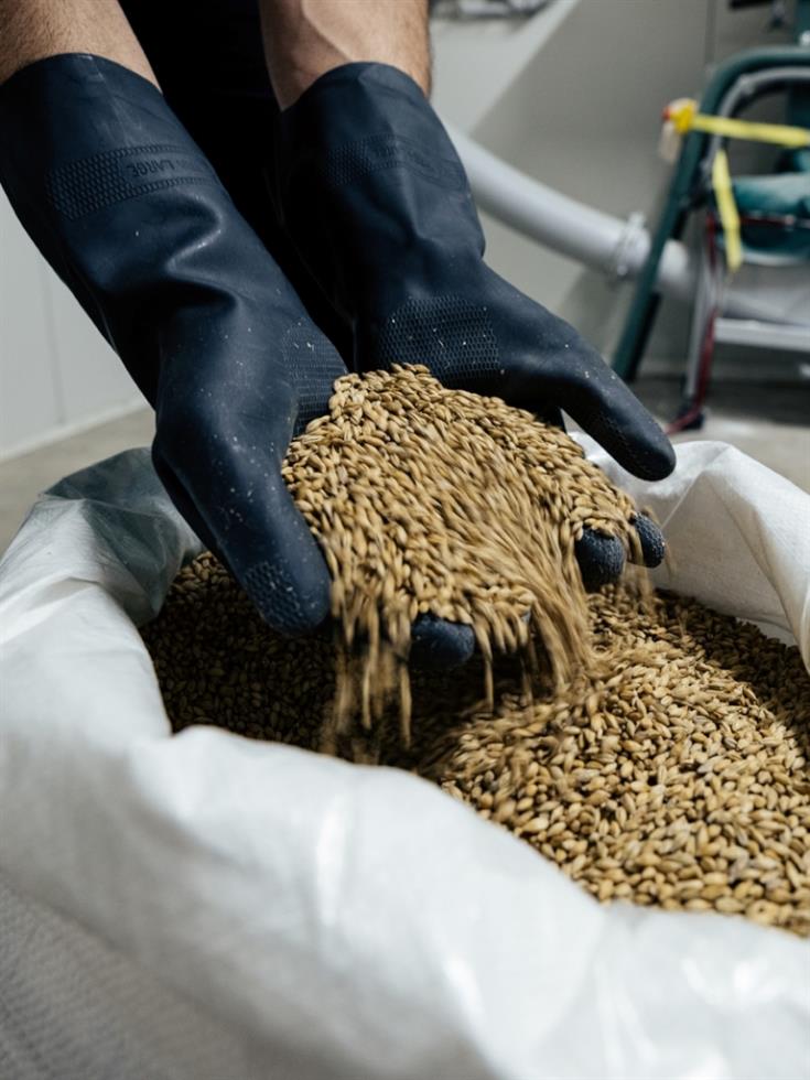 5404791337630126 MF SmallandMediumBusinesses SR 019