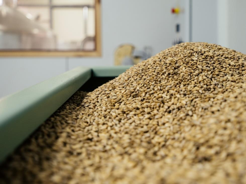 5404791348724252 MF SmallandMediumBusinesses SR 020