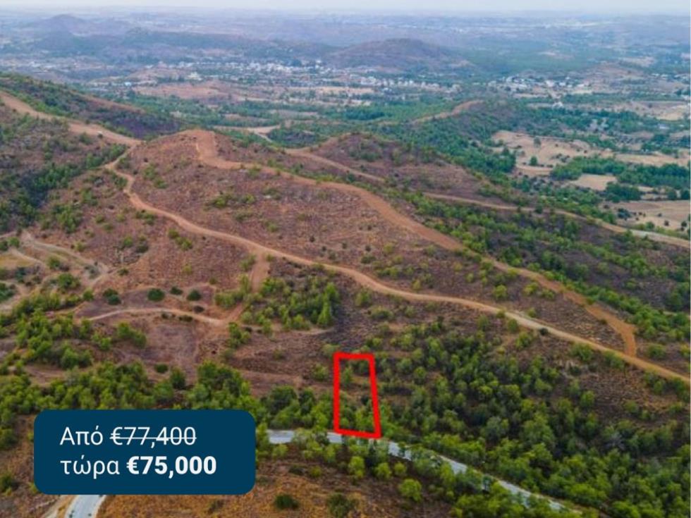 5416919062954336 6466 4