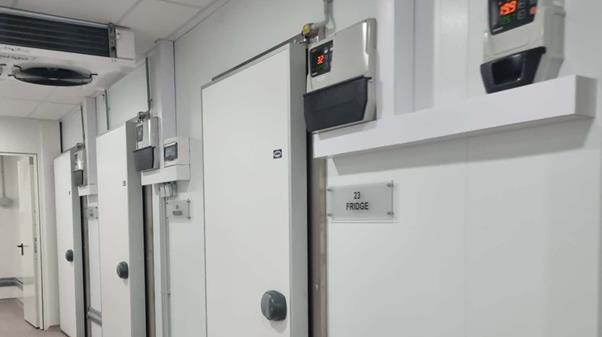 5425376422256172 image