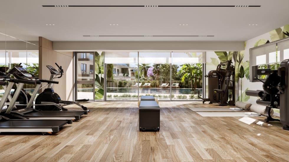 5447021696172956 23-314-Gym-01