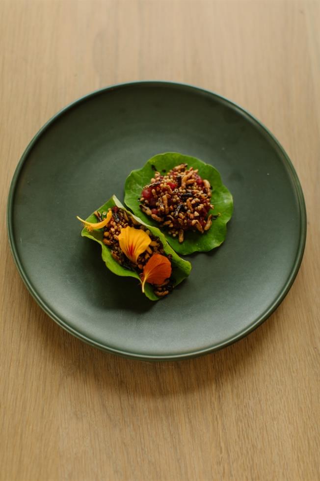5460872027153169 Ola Klepp example dish