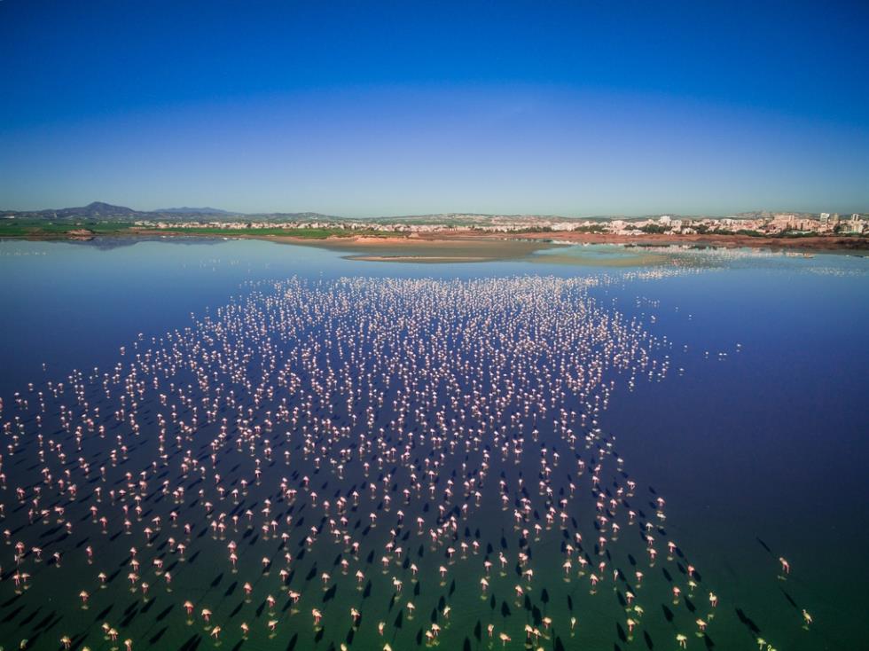 5562139245075185 Salt Lake by Piotr Labno