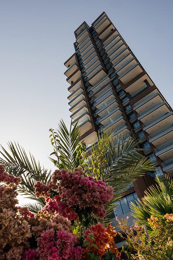 dreamtower3